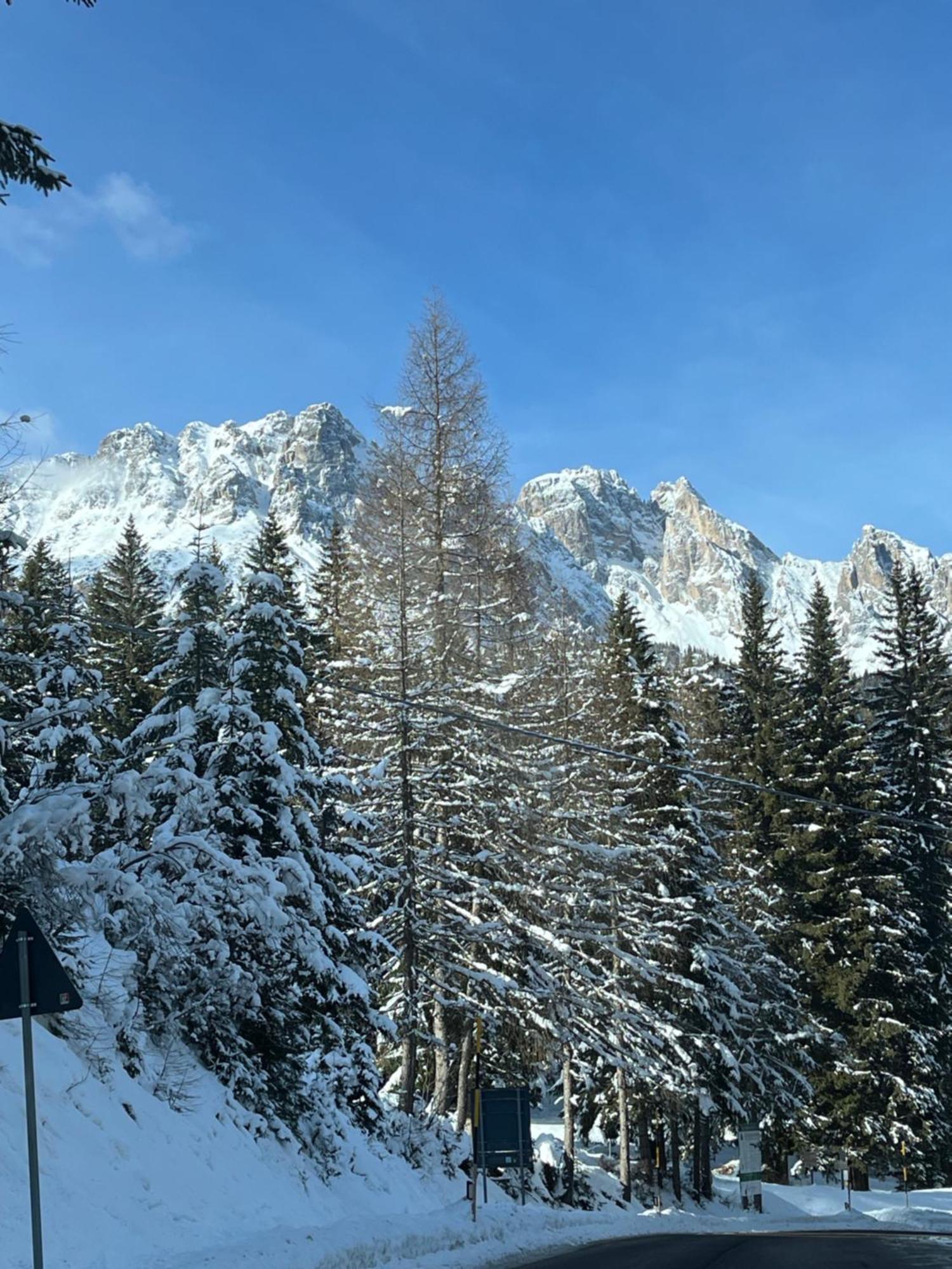Chalet Delle Dolomiti Pieve di Cadore Ngoại thất bức ảnh